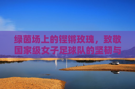 绿茵场上的铿锵玫瑰,致敬国家级女子足球队的坚韧与荣光