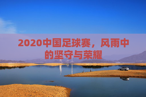 2020中国足球赛,风雨中的坚守与荣耀