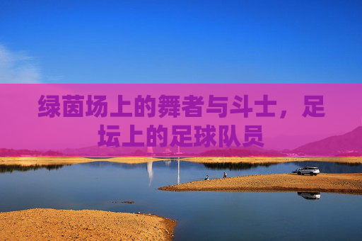 绿茵场上的舞者与斗士，足坛上的足球队员