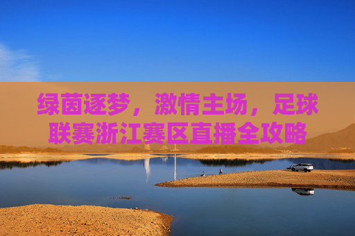 绿茵逐梦，激情主场，足球联赛浙江赛区直播全攻略