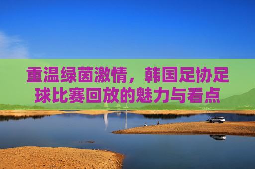 重温绿茵激情，韩国足协足球比赛回放的魅力与看点