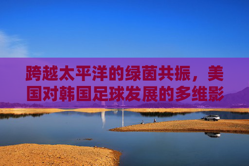 跨越太平洋的绿茵共振,美国对韩国足球发展的多维影响