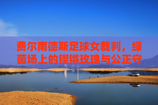 费尔南德斯足球女裁判，绿茵场上的铿锵玫瑰与公正守护者