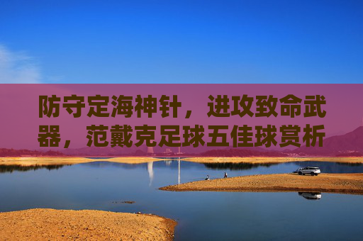 防守定海神针,进攻致命武器,范戴克足球五佳球赏析