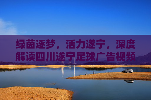 绿茵逐梦,活力遂宁,深度解读四川遂宁足球广告视频