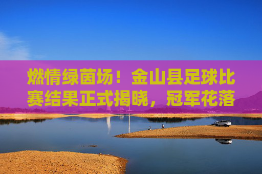 燃情绿茵场!金山县足球比赛结果正式揭晓,冠军花落谁家?
