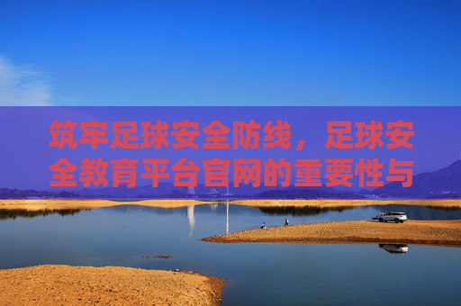 筑牢足球安全防线,足球安全教育平台官网的重要性与使用指南