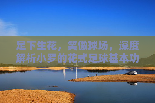 足下生花，笑傲球场，深度解析小罗的花式足球基本功