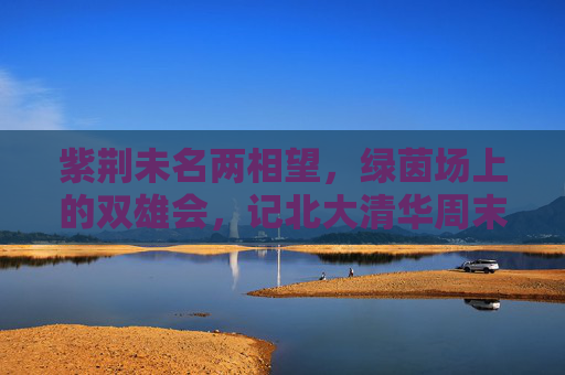 紫荆未名两相望,绿茵场上的双雄会,记北大清华周末足球队