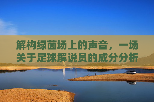 解构绿茵场上的声音,一场关于足球解说员的成分分析