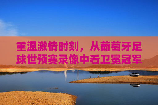 重温激情时刻，从葡萄牙足球世预赛录像中看卫冕冠军的征途