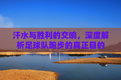 汗水与胜利的交响,深度解析足球队跑步的真正目的
