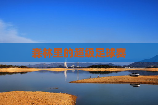 森林里的超级足球赛