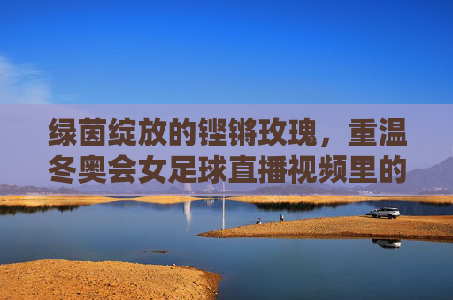 绿茵绽放的铿锵玫瑰，重温冬奥会女足球直播视频里的热血与感动