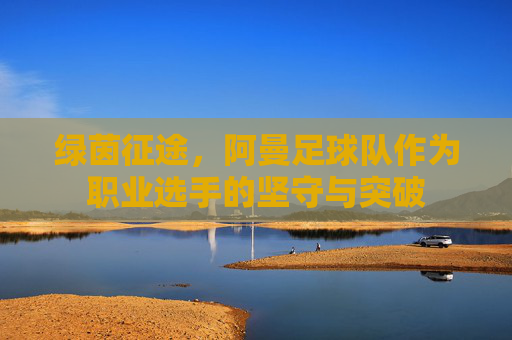 绿茵征途，阿曼足球队作为职业选手的坚守与突破
