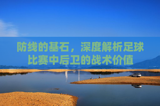 防线的基石，深度解析足球比赛中后卫的战术价值