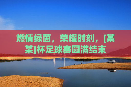燃情绿茵，荣耀时刻，[某某]杯足球赛圆满结束