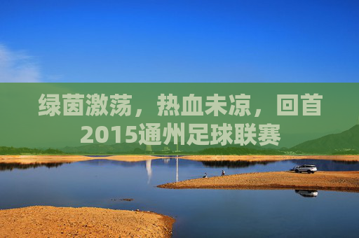 绿茵激荡，热血未凉，回首2015通州足球联赛
