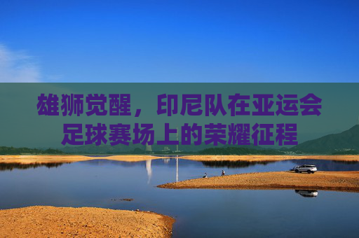 雄狮觉醒,印尼队在亚运会足球赛场上的荣耀征程