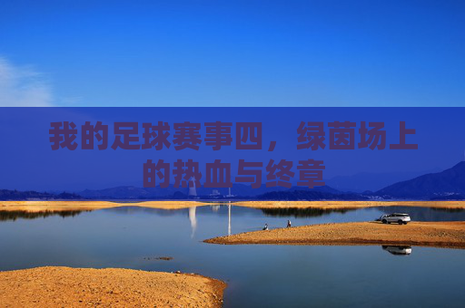 我的足球赛事四,绿茵场上的热血与终章