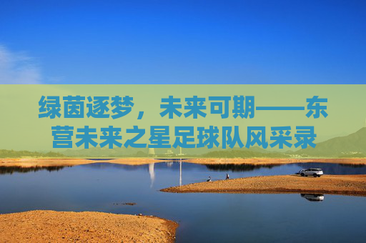 绿茵逐梦,未来可期——东营未来之星足球队风采录