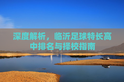 深度解析,临沂足球特长高中排名与择校指南