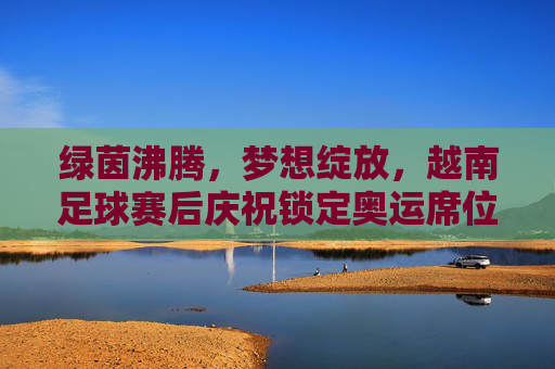 绿茵沸腾,梦想绽放,越南足球赛后庆祝锁定奥运席位