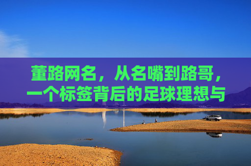 董路网名,从名嘴到路哥,一个标签背后的足球理想与现实博弈