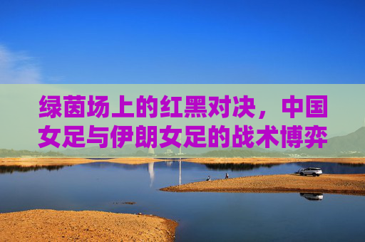 绿茵场上的红黑对决，中国女足与伊朗女足的战术博弈与精神较量