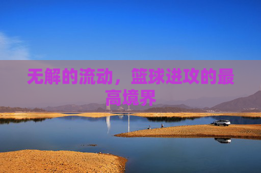 无解的流动，篮球进攻的最高境界