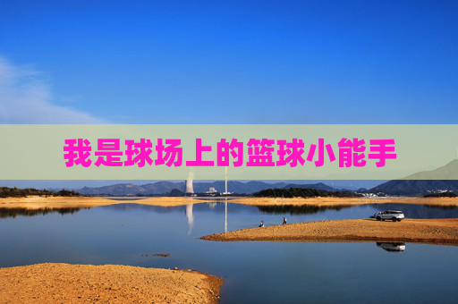 我是球场上的篮球小能手