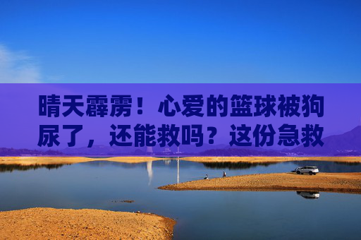 晴天霹雳！心爱的篮球被狗尿了，还能救吗？这份急救指南请收好！