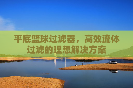平底篮球过滤器,高效流体过滤的理想解决方案