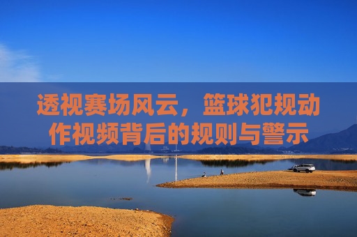 透视赛场风云,篮球犯规动作视频背后的规则与警示