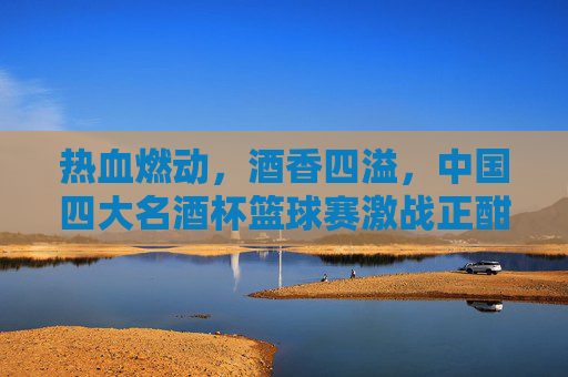 热血燃动，酒香四溢，中国四大名酒杯篮球赛激战正酣