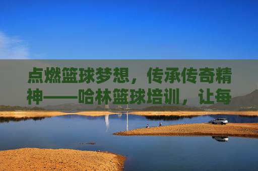 点燃篮球梦想，传承传奇精神——哈林篮球培训，让每一次运球都充满激情