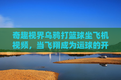 奇趣视界乌鸦打篮球坐飞机视频，当飞翔成为运球的开始