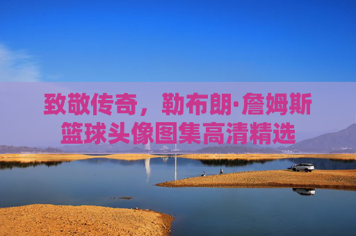 致敬传奇，勒布朗·詹姆斯篮球头像图集高清精选