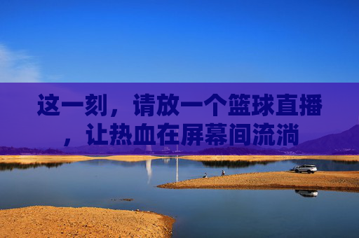 这一刻，请放一个篮球直播，让热血在屏幕间流淌