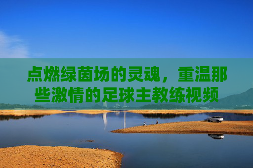 点燃绿茵场的灵魂，重温那些激情的足球主教练视频