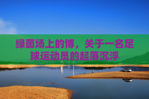 绿茵场上的博,关于一名足球运动员的起落沉浮