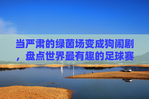 当严肃的绿茵场变成狗闹剧，盘点世界最有趣的足球赛
