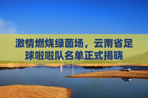 激情燃烧绿茵场,云南省足球啦啦队名单正式揭晓