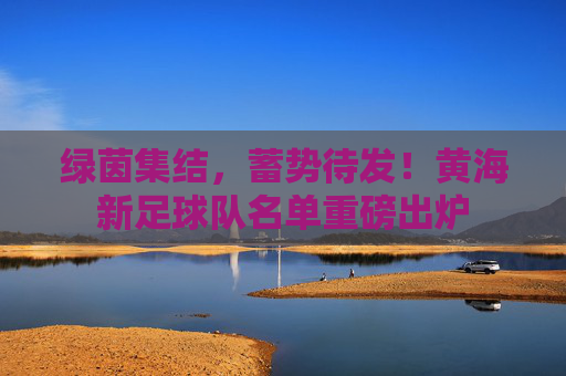 绿茵集结,蓄势待发!黄海新足球队名单重磅出炉