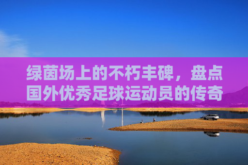 绿茵场上的不朽丰碑,盘点国外优秀足球运动员的传奇事迹