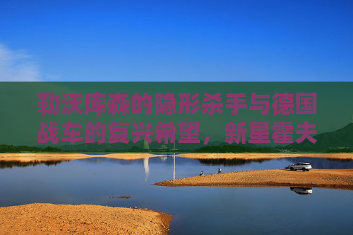 勒沃库森的隐形杀手与德国战车的复兴希望，新星霍夫曼的崛起之路