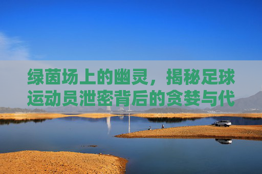 绿茵场上的幽灵，揭秘足球运动员泄密背后的贪婪与代价