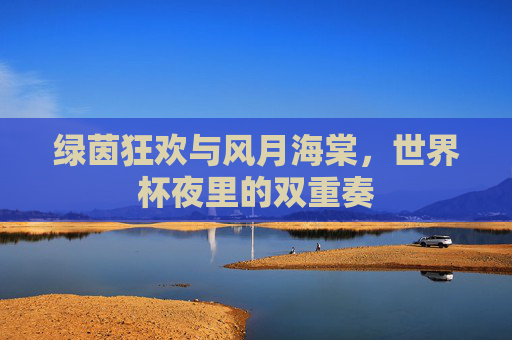 绿茵狂欢与风月海棠，世界杯夜里的双重奏