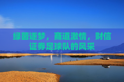 绿茵逐梦，商道激情，财信证券足球队的风采