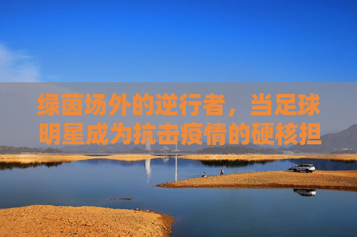 绿茵场外的逆行者,当足球明星成为抗击疫情的硬核担当